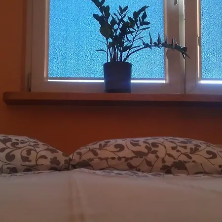 Top Floor *